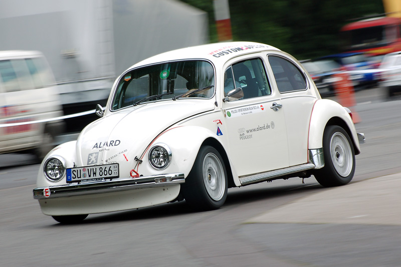 Käfer DSC_8958-0.jpg