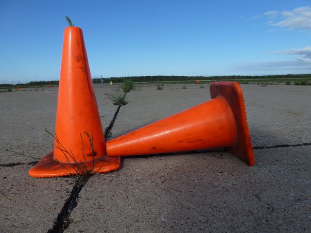 P1010024.JPG